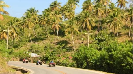 Las Terrenas: ATV Tour with Farm Visit and Beach Stop - Photo 5 (Gallery view)