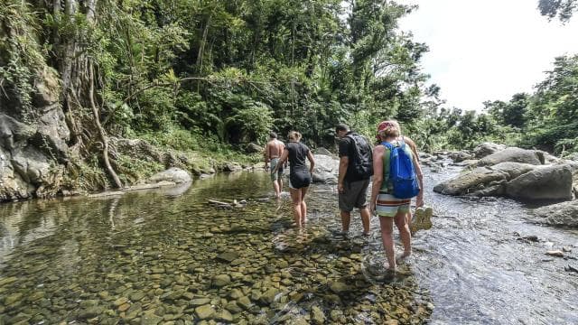 From San Juan: El Yunque Rainforest and Waterslides Day Trip - Photo 5 (Gallery view)