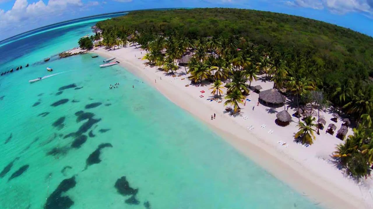 Punta Cana: Saona Island Tout Jounen ak Bufè ak Pickup - Dominican Republic