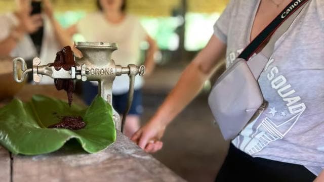 PV & Cahuita: Chocolate Tour Bri Bri Village & Waterfalltour - Photo 3 (Gallery view)