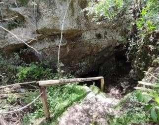 Bayahibe: Dschungelwanderung im Nationalpark und Schnorcheln in Cenoten - Photo 2 (Gallery view)