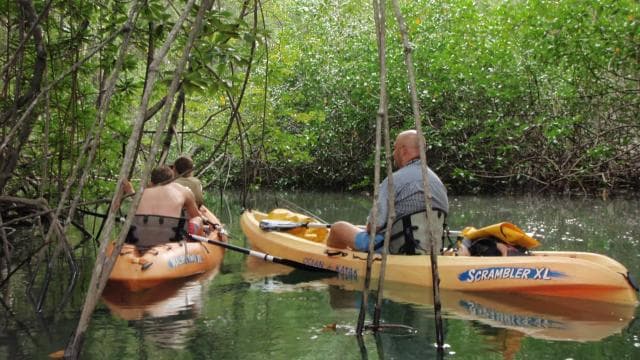 Uvita: Kayak & Snorkel Private Tour - Marino Ballena N. Park - Dominican Republic
