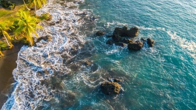 Drake Bay: wędrówka po dżungli i przygoda w kanionie z lunchem - Photo 3 (Gallery view)