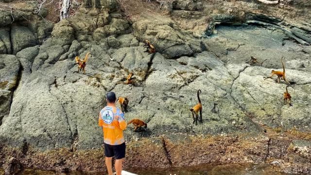 From Puntarenas: Tortuga Island VIP tour Full-Day - Dominican Republic