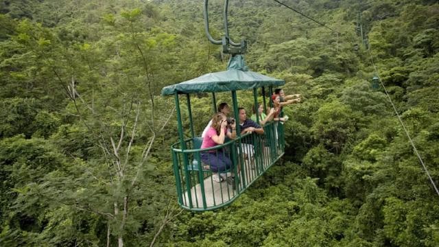 From San Jose: Braulio Carillo National Park Rainforest Tram - Photo 3 (Gallery view)