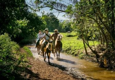 Private: Punta Cana: Horseback Riding Tour with Sunset - Photo 2 (Gallery view)