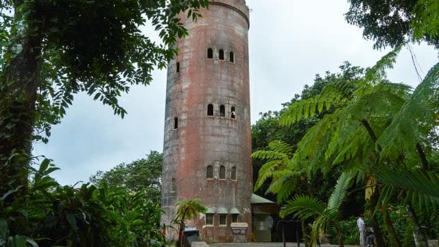 Pòtoriko: El Yunque vwayaj demi-jou ak transfè - Photo 3 (Gallery view)