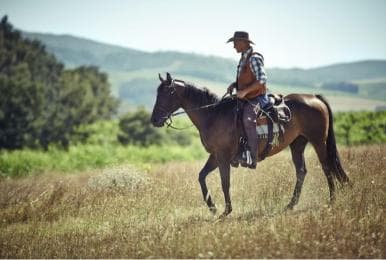 Jarabacoa: Horseback Riding to Salto Baiguate Waterfall - Photo 3 (Gallery view)
