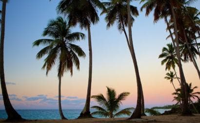 Samana Day Tour: Cayo Levantado & Rincon Bay Paradise - Photo 5 (Gallery view)