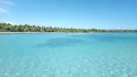 Saona Island: Small Group Virgin Beaches Cruise Day Trip - Photo 5 (Gallery view)