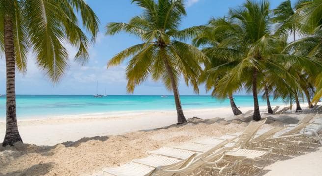 Punta Cana: Saona Island Tour & catamaran food & open Bar - Photo 2 (Gallery view)