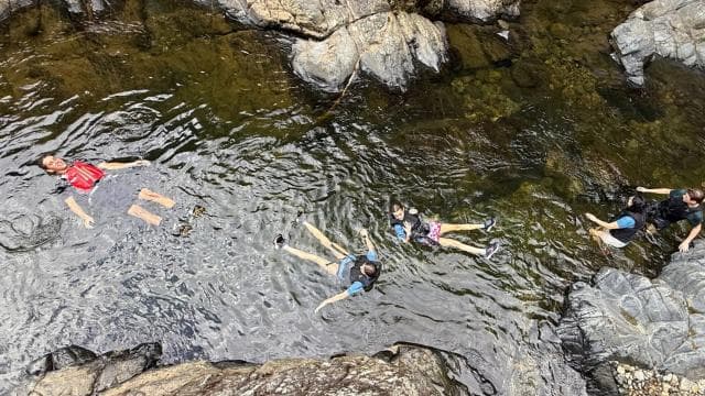 Výlet do dažďového pralesa El Yunque a dobrodružstvo na tobogane - Photo 2 (Gallery view)
