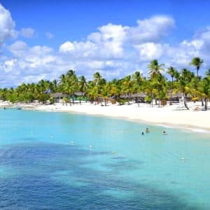 Saona Island Full-Day Tour with Lunch from Punta Cana - Photo 5 (Gallery view)