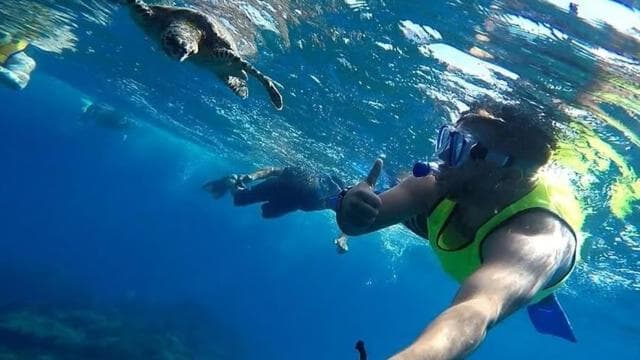 Drake Bay: Snorkeling Tour in Caño Island with Lunch - Dominican Republic
