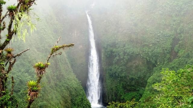 San José: Arenal Volcano, Waterfalls, Coffee and Hot Springs - Photo 4 (Gallery view)