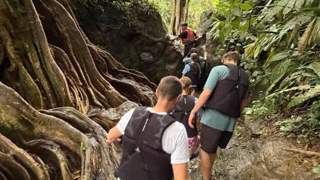 San Juan: El Yunque Tour Water Slide, Rope Swing & Pickup - Photo 5 (Gallery view)