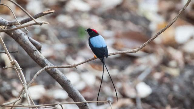 Private Tour Diria National Park Unspoken Hiking and Nature - Photo 4 (Gallery view)