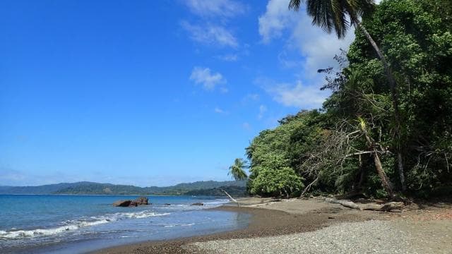 Parco Nazionale del Corcovado: Tre Giorni e Due Notti Corcovado - Photo 2 (Gallery view)