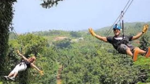 Río Grande: Rainforest Zipline Experience - Photo 4 (Gallery view)