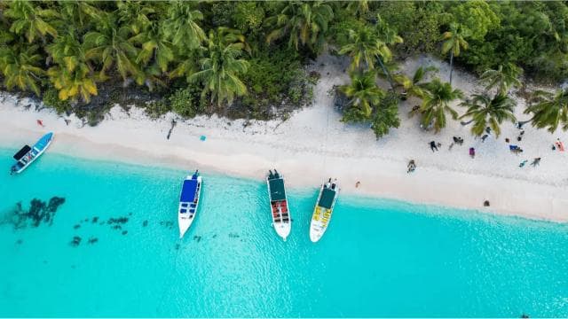 Saona Island All Inclusive Tour - Photo 4 (Gallery view)