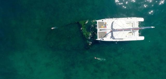 Samaná: Catamaran Boat Tour with Snorkeling and Lunch - Dominican Republic