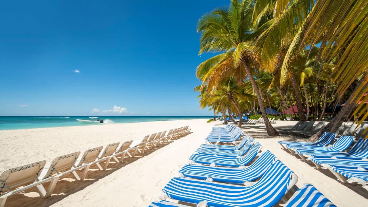 Saona Island Excursion Punta Cana - Photo 2 (Gallery view)