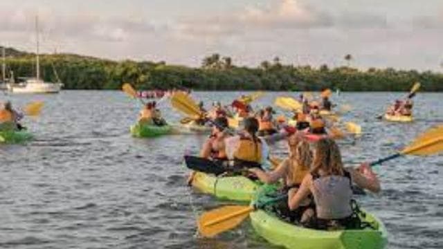 Fajardo: Bioluminescent Lagoon Kayak or Full Moon Kayak Tour - Photo 3 (Gallery view)