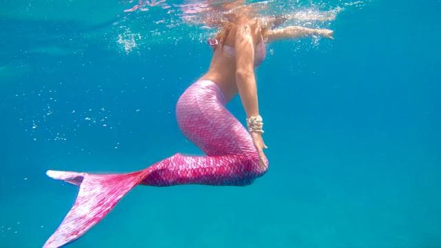 Puerto Rico: Mermaid Snorkeling Adventure - Photo 4 (Gallery view)