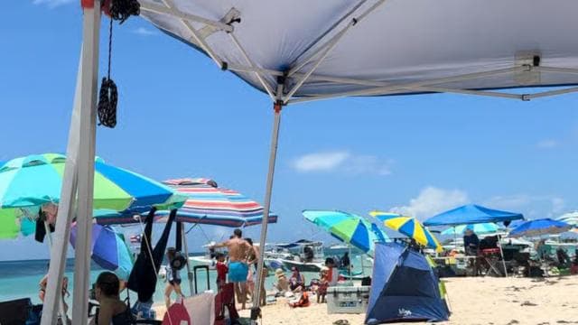From San Juan: Transport & Water Taxi to Icaco Island - Photo 4 (Gallery view)