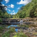 Punta Cana: Higuey, Coffee and Cocoa Tasting Tour with Lunch - Photo 4 (Gallery view)