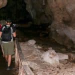 From Punta Cana: Los Haitises and Redonda Mountain Day Trip - Photo 2 (Gallery view)