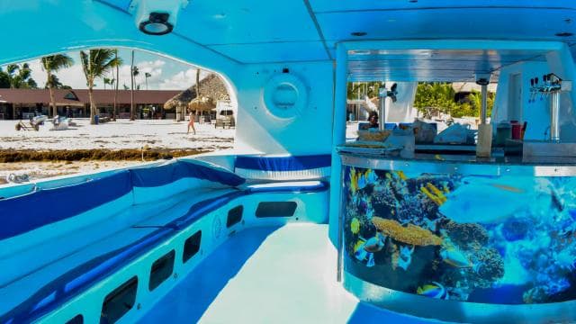 Punta Cana Catamaran Party– Snorkeling, Open Bar & Music - Photo 5 (Gallery view)