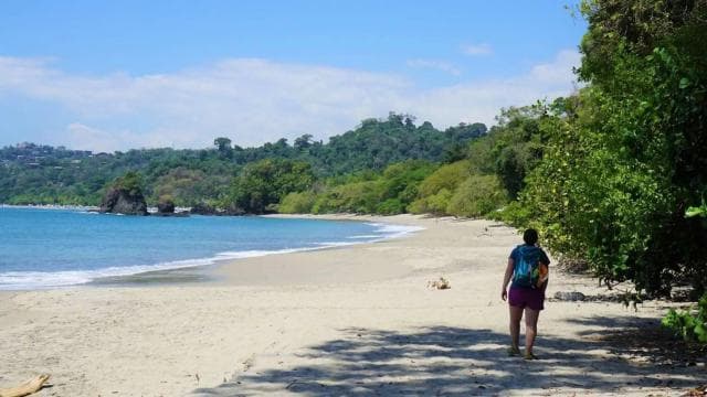 Manuel Antonio: Discover the tropical forests & white-sand - Photo 5 (Gallery view)