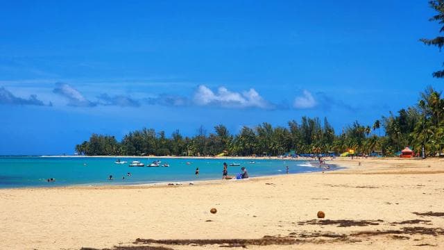From San Juan: Rainforest River, Luquillo Beach, & Cave Tour - Dominican Republic