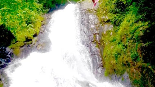 From San José: 11 Waterfalls Zipline Adventure - Photo 3 (Gallery view)