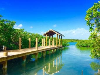 Punta Cana: Ecological Reserve 4x4 Tour with Tastings - Photo 4 (Gallery view)