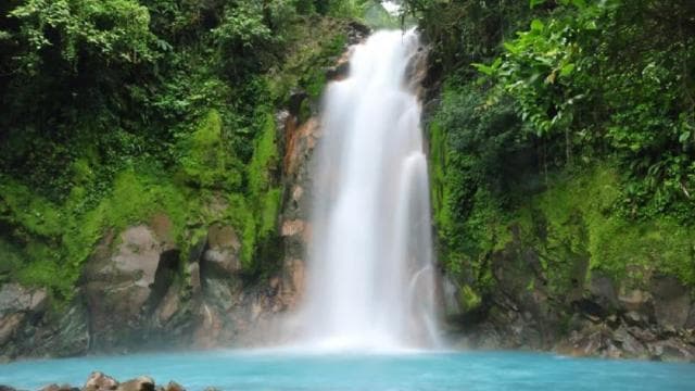 La Fortuna Town: Rio Celeste and Tenorio National Park Tour - Photo 3 (Gallery view)
