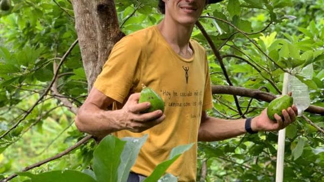 Puerto Rico, Dorado: Educational Forestry Walk - Photo 2 (Gallery view)