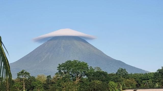 Vulcano Arenal: escursione guidata sul sentiero El Silencio - Photo 3 (Gallery view)