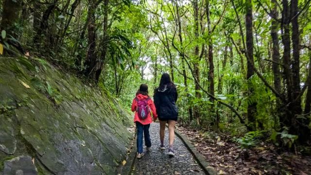 Monteverde: Hanging Bridges in the Cloud Forest Guided Tour - Photo 2 (Gallery view)