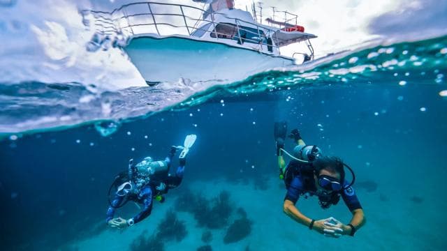 Las Catalinas: Discover Scuba Diving at Flamingo & Tamarindo - Photo 3 (Gallery view)