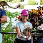 Samaná: Monkeyland and Open-Air Safari Truck Tour - Photo 3 (Gallery view)