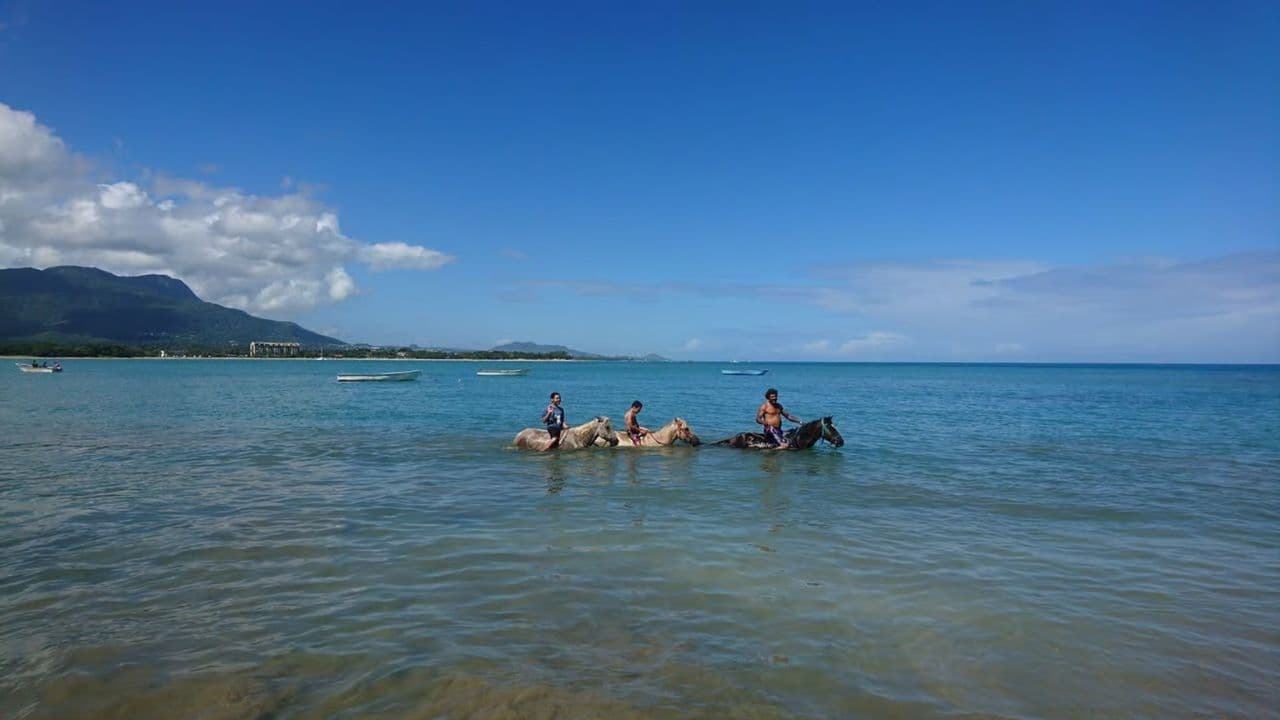 Puerto Plata: 2-Hour Horseback Ride on the Beach - Photo 2 (Gallery view)