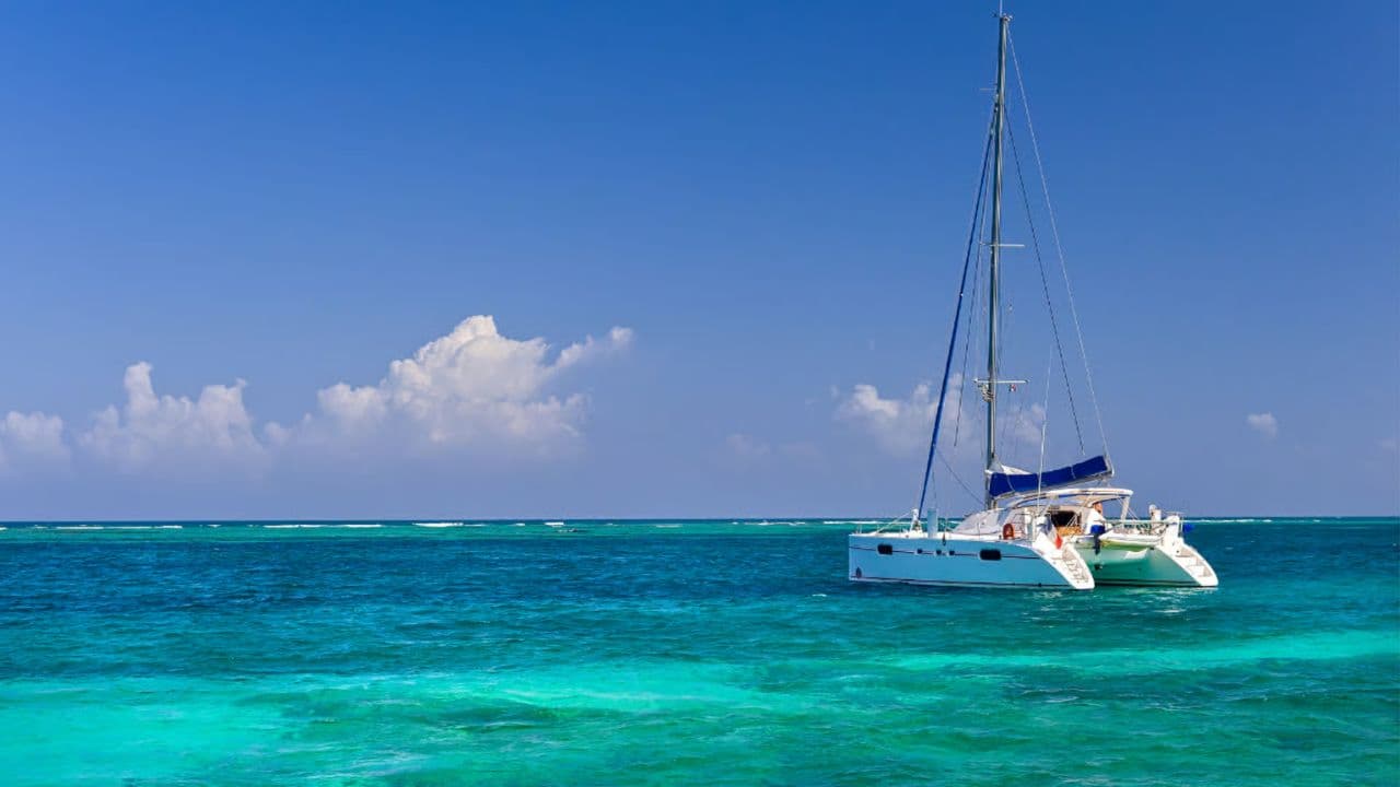 Punta Cana: Full Day Excursions Samana Island Bacardi - Photo 4 (Gallery view)