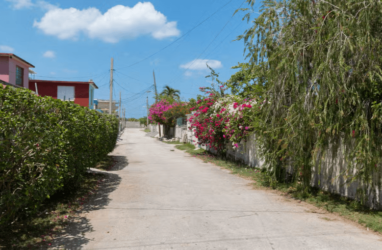 Havana Contrasts Tour - Photo 4 (Gallery view)