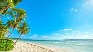 Samana: El Limon + Cayo Levantado with Lunch Included - Photo 2 (Gallery view)