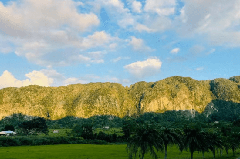 Viñales Valley Buggy Tours - Photo 4 (Gallery view)