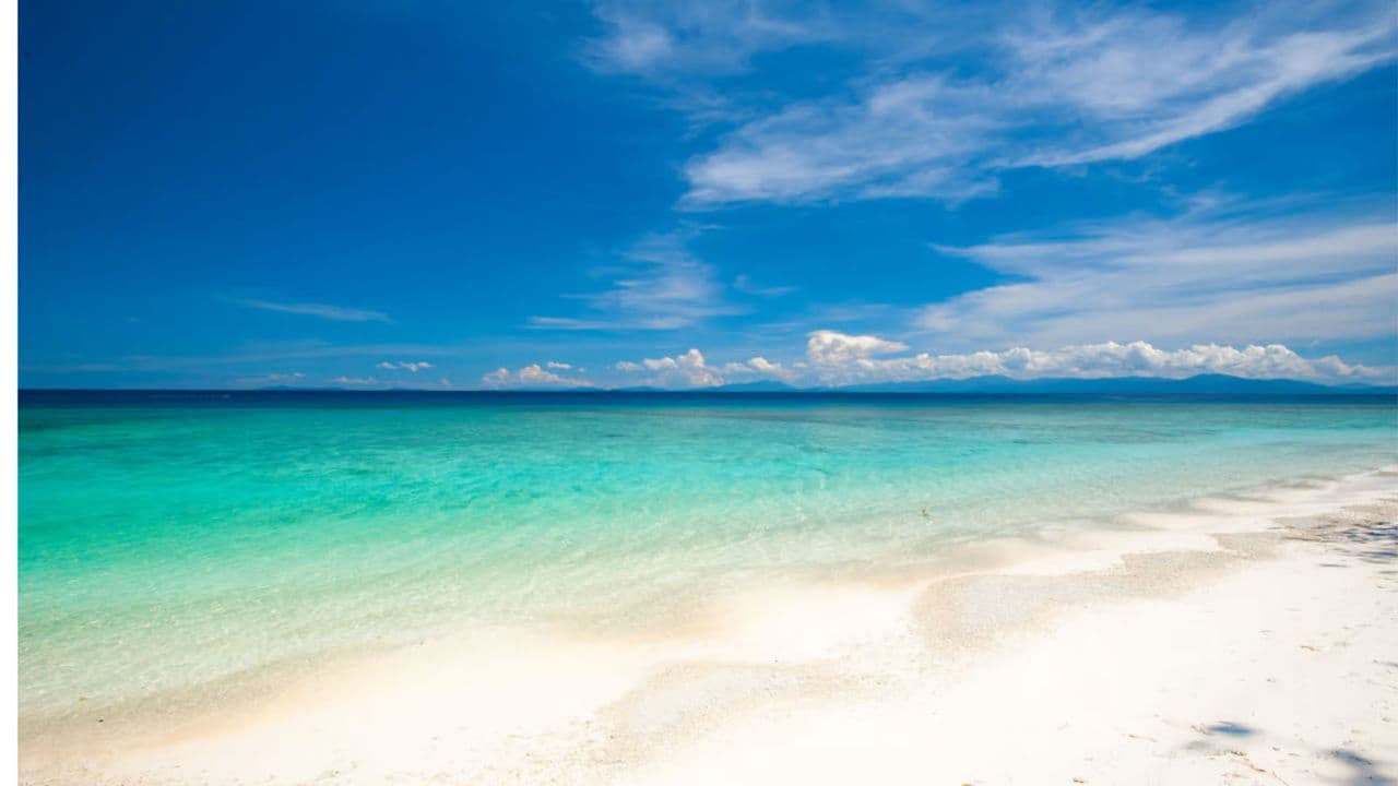 The Catalina Island Experience - Dominican Republic
