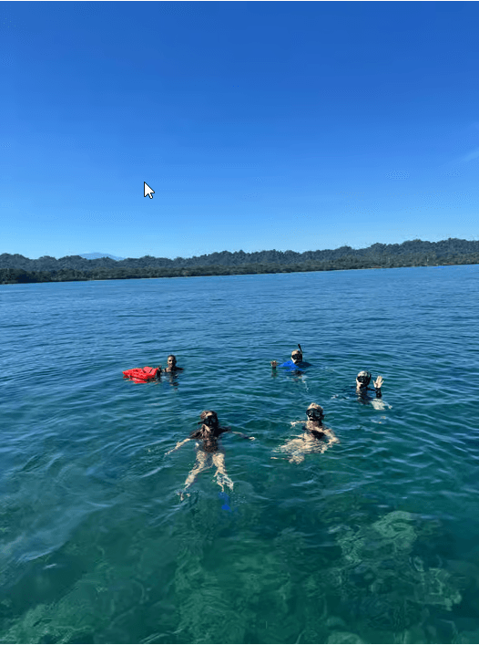 Snorkel en el Parque Nacional Cahuita: Explora el Arrecife - Photo 5 (Gallery view)