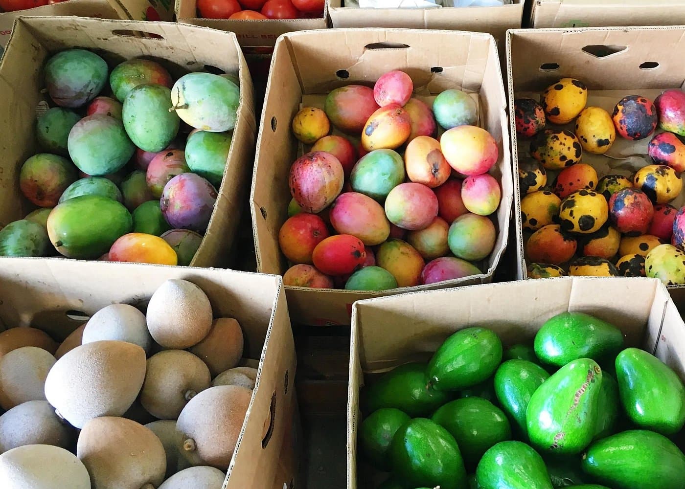 Little Havana Like a Local: Food, Culture & Hidden Gems - Dominican Republic